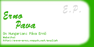 erno pava business card