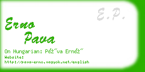 erno pava business card